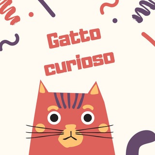 Gatto Curioso