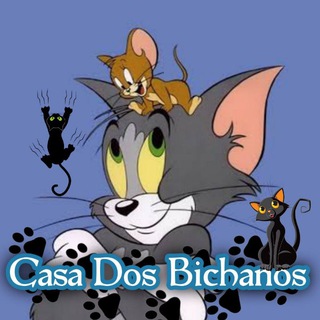 CASA DOS BICHOS