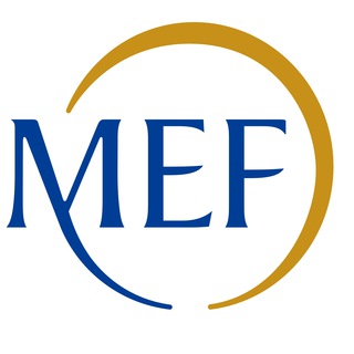 MEF_GOV