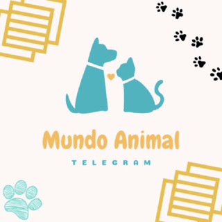 🦁 ¦ Mundo Animal