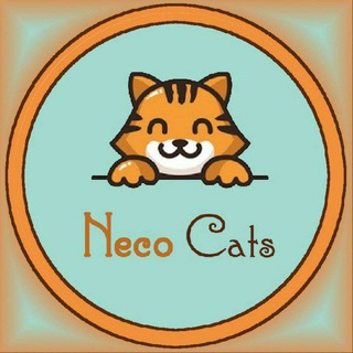 Neco Cats