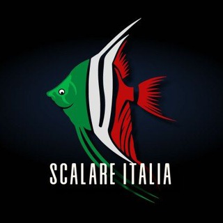 RIA - Scalare Italia