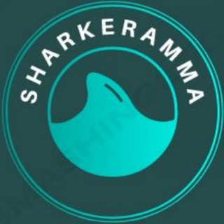 Sharkeramma🦈