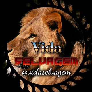 Vida Selvagem