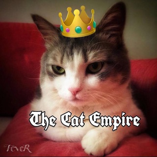 👑😼 The Cat Empire™️ 😼👑