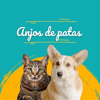 🐶 ¦ Anjos de Patas