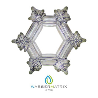 Wassermatrix