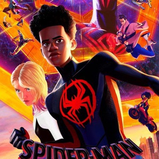 Spider-Man Across the Spider Verse