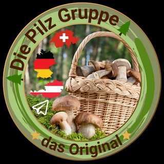 🌲Die Pilz Gruppe🌲