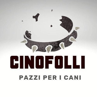 CINOFOLLI