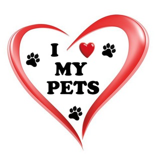 I Love My Pets