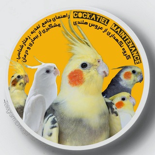 گروه نگهداری از عروس هلندی🦜