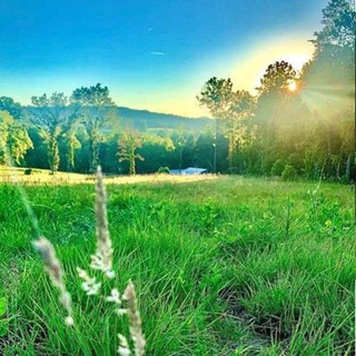 Homestead Appalachia