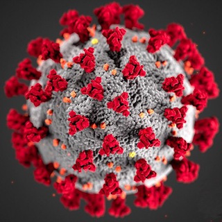 Coronavirus Trentino Bot