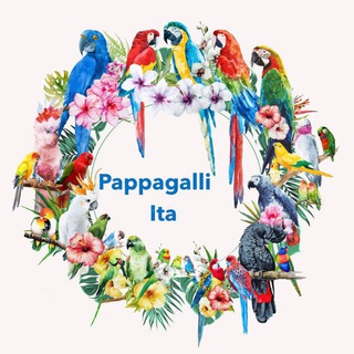 Pappagalli Ita