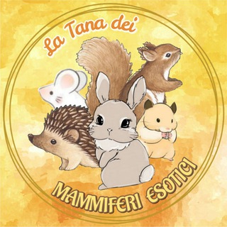 La Tana dei Mammiferi Esotici 🐿️