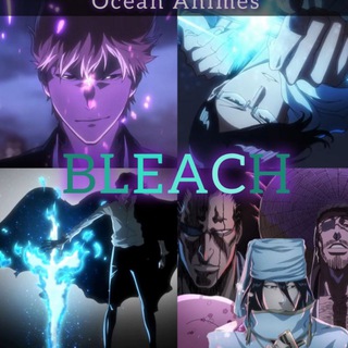 Bleach VF : thousand years blood wars vf / vostfr