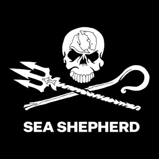 Sea Shepherd Conservation Society on Telegram by GRT : mission is to protect and conserve the world&#39;s oceans and marine wildlife