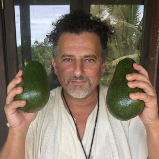 David Avocado Wolfe