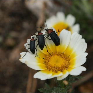 SIERRA DE GÁDOR