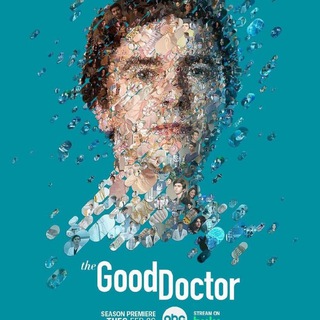 The Good Doctor Season 1-6