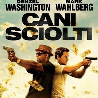 Cani sciolti FILM 2 guns ITA gun