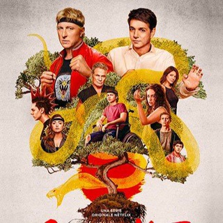 Cobra kai ITA SERIE TV Streaming e Download