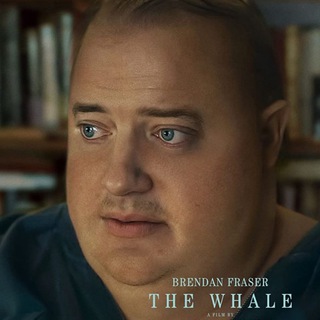 The whale ITA FILM